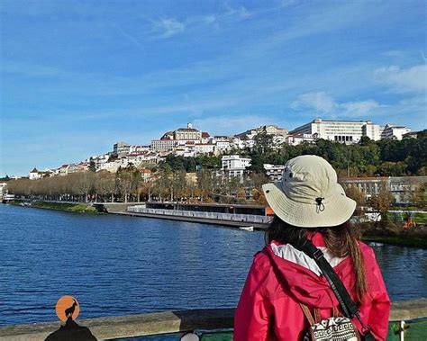 Parque Verde Do Mondego Coimbra 2022 Qué Saber Antes De Ir Lo Más