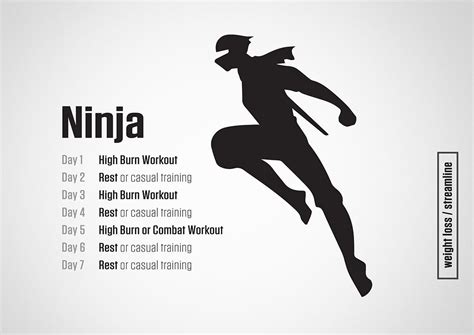 Ninja Training Plan Ninja Training Fighter Workout Best Workout Plan