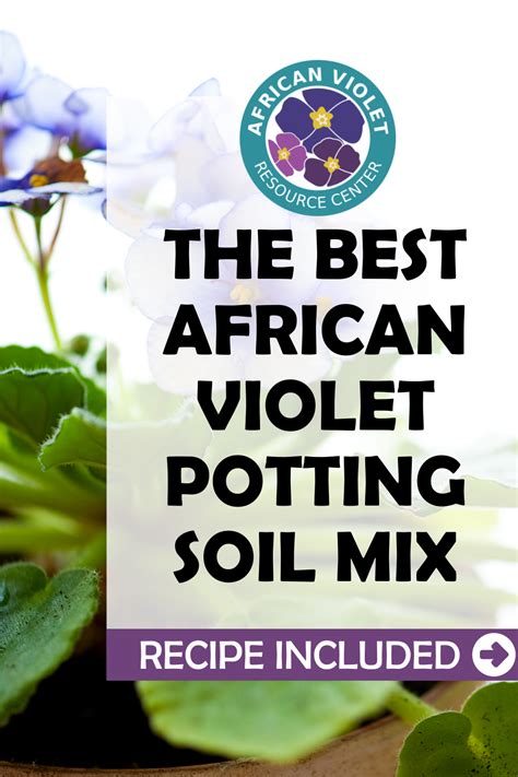 The Best African Violet Potting Soil Mix African Violets Potting