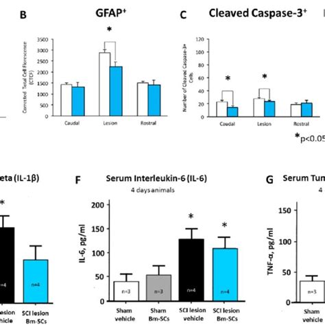 Overview Of The Elisa Serum Il 1β A And Il 6 B Levels And The