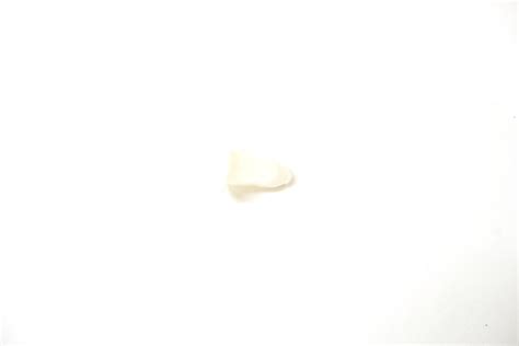 Expander Nut Genuine Porsche N10318001 N10 318 001 N10-318-001 N10.318. ...