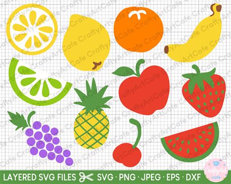 Fruits Svg Bundle Cricut Fruit Clipart Bundle Lemon Svg Lime Etsy India