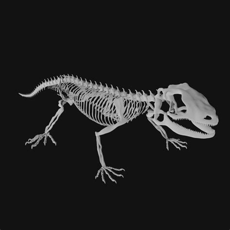 3d Lizard Skeleton Model Turbosquid 1983376