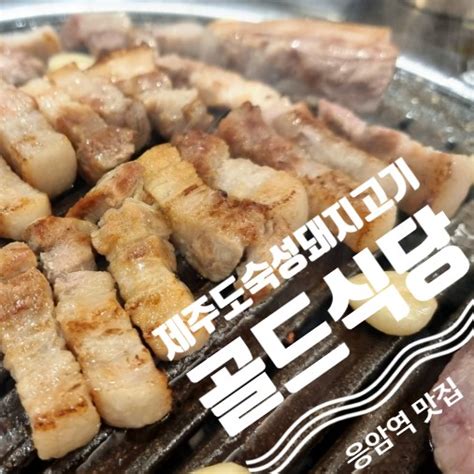 은평구 신사동 고기집 응암역맛집 제주산 숙성 돼지고기 골드식당 네이버 블로그