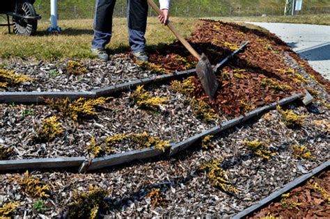 What To Do With Old Mulch Experts Way In 2024