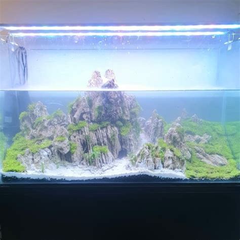 Jual Aquascape Fullset Tema Gunung Kabut 60cm 80cm Jakarta Selatan