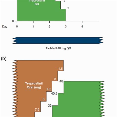 A Transition Timelinepatient Infused To Oral Titration Of Ppa