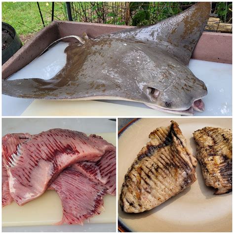 Betty and Nicks Bait and Tackle Fishing Club | Facebook