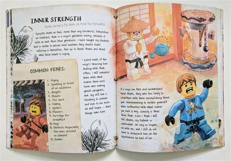 LEGO NINJAGO Book Of Spinjitzu Review BricksFanz