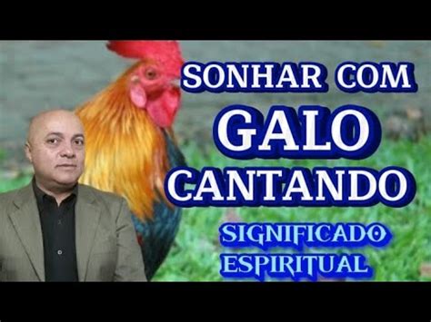 Galinha Cantando Igual Galo Significado Espiritual - SONHAR COM GALO CANTANDO SIGNIFICADO ESPIRITUAL. - YouTube