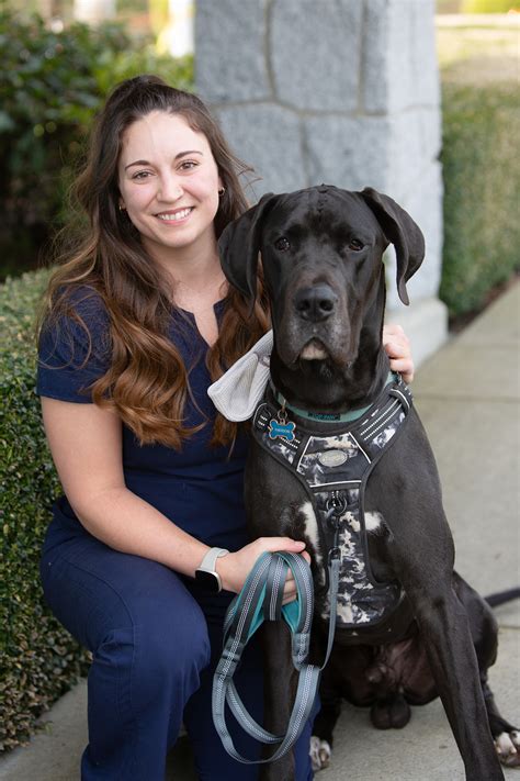 Team South Surrey Veterinary Hospital