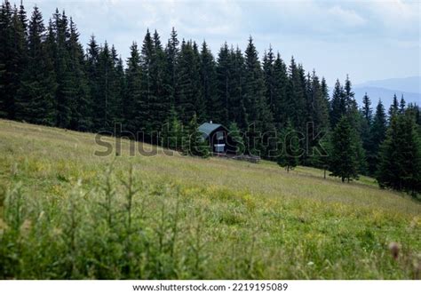 Parcul National Ceahlau Zona Bicaz Stock Photo 2219195089 Shutterstock