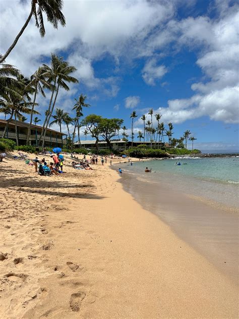 Snorkeling At Napili Bay Boss Frog S Hawaii