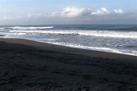 Pantai Bidara Spot Terbaik Menikmati Indahnya Lautan Di Kulon Progo