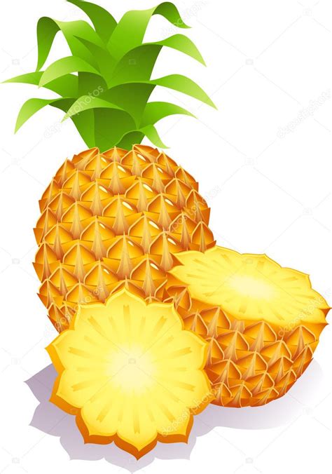 Pineapple Stock Vector Image By Jut 13 2015228