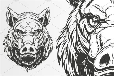 Head Ferocious Boar Boar Illustration Wild Boar Tattoo Boar Tattoo