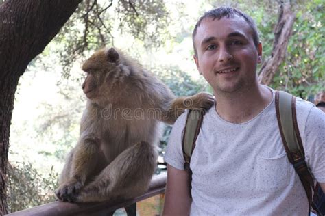 A Tourist Takes a Selfie Photo with a Barbary Macaque Living in Forest ...