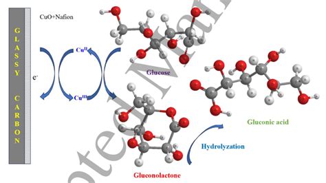 Scheme representation for the mechanism of glucose oxidase through ...