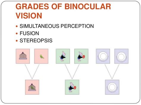 Binocular vision basics