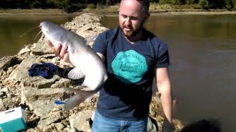 Catching Catfish From The Bank Youtube