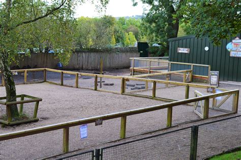 Extended Pig Pen In Farmyard Zoochat