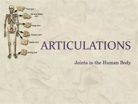 Ppt Articulations Powerpoint Presentation Free Download Id 1265802