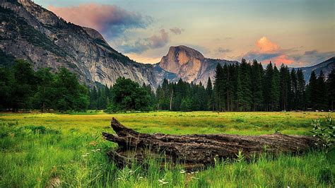 HD wallpaper: landscape 4k mac wallpaper, mountain, tree, plant ...