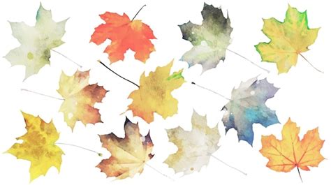 Lot De Feuilles D Aquarelle D Automne Vecteur Gratuite