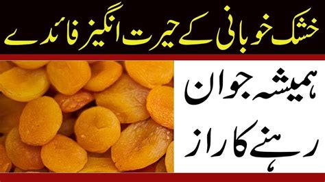 Khubani Ke Fawaid Sukhi Khubani Ke Fayde │ Benefits Of Dried Apricots