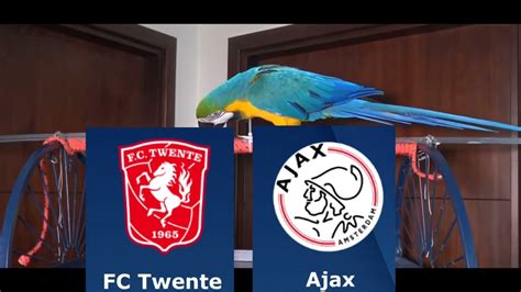 Fc Twente Vs Ajax Knvb Cup Parrot Prediction Youtube