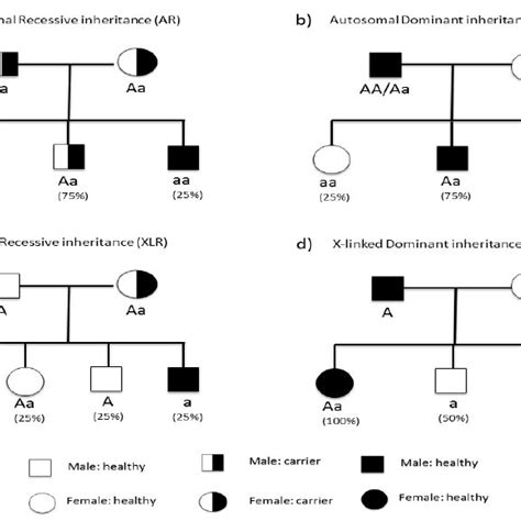 In Autosomal Dominant Inheritance Aspx Openfile – Telegraph