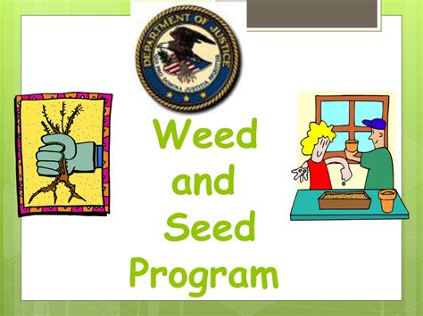 Weed And Seed Program Of The U S Department Of Justice Ppt Download