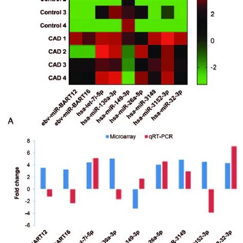 Mirna Expression Profiles A The Heat Map Indicates Mirna Profiles Download Scientific