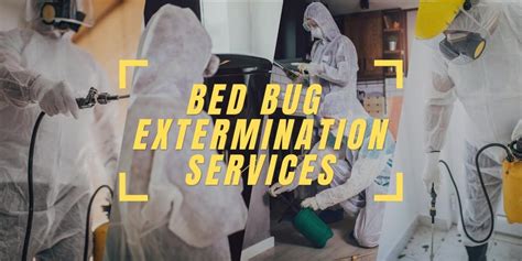 Bed Bug Extermination Services Bed Bug Cleveland Ohio Bed Bug