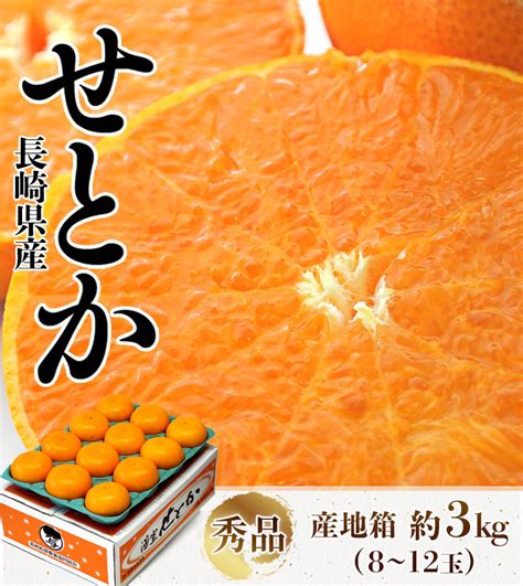 Ja長崎せいひ『せとか』長崎県産 秀品 2〜4l 約3kg（8〜12玉）産地箱 風袋込 ※常温｜豊洲市場ドットコム