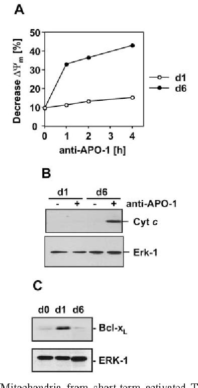 Figure 2 From Activation Induced Cell Death Human T Cells Toward Cd95