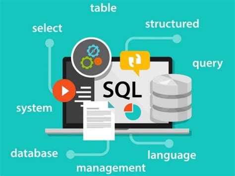 Database MySQL Postgre MSSQL MongoDB Expert PostgreSQL