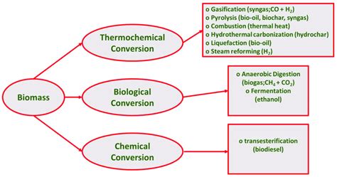 Biomass Conversion Technologies Download Scientific Diagram