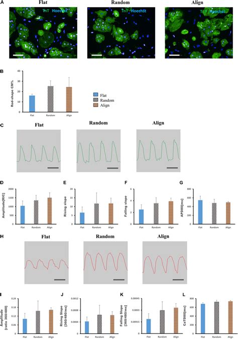 Differential Gene Expression A Principal Component Analysis PCA