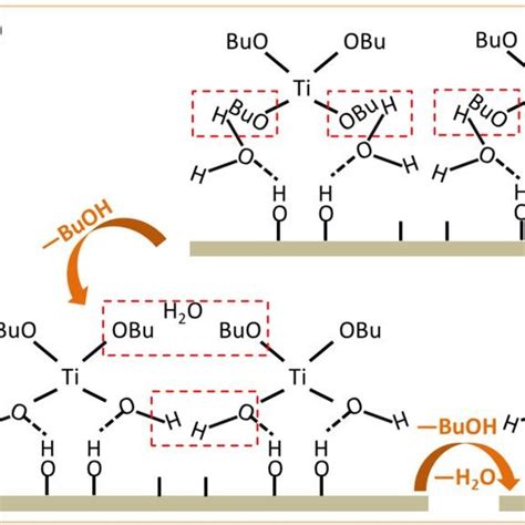 Sem Images Of A Ldh Tio L And B Ldh Tio L C The Proposed