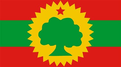 Petition · OROMO FLAG EMOJI - Australia · Change.org