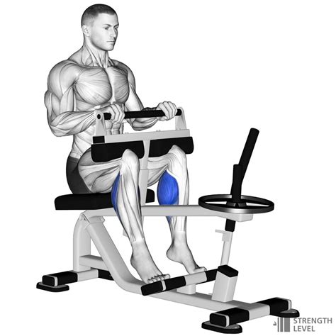 Seated Calf Raise How To Strength Level