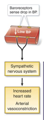 Final Arterial Venous Disorders Flashcards Quizlet