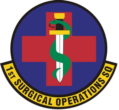 Coat Of Arms Crest Of 1st Surgical Operations Squadron Us Air Force