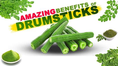 These 5 Benefits Of Drumsticks Will Surprise You YouTube