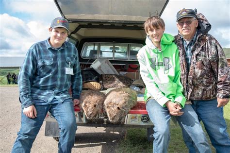 Outdoors Youth Trapper Camp Serves To Educate Havre Daily News