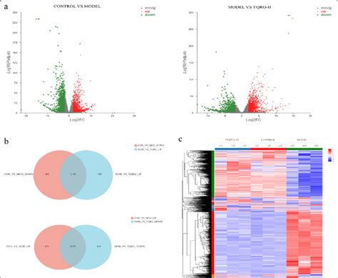 Gene Expression Analysis By Rna Seq A Volcanic Map Of Upregulated And