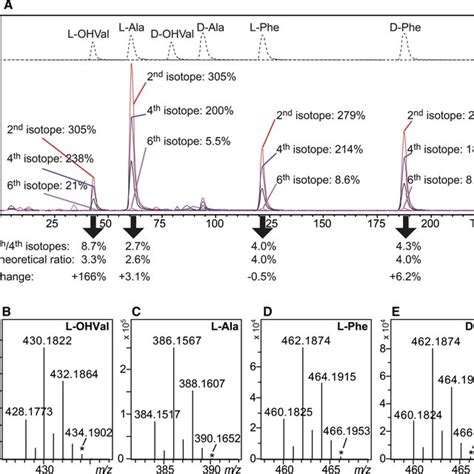 A Extracted Ion Chromatograms From Advanced Marfeys Analysis Of