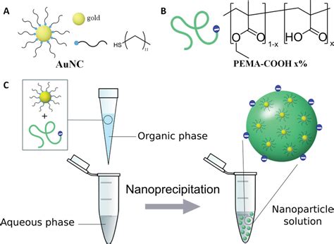 Enhancing Near Infrared II Emission Of Gold Nanoclusters Via