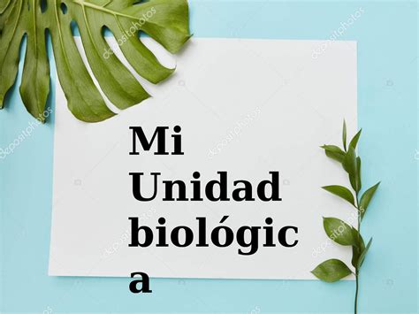 Calaméo Cartilla Biologia Vegetal